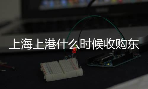 上海上港徐根宝等持股人