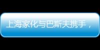 快排公司十年历程，霸屏兔 seo 的崛起与坚守