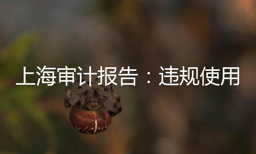 报告补偿村委会开支等