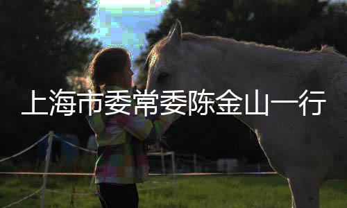 调研管委会专职副主任唐浩