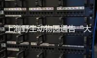 上海野生动物园通告“大象斗殴”：对相关象已采取保护性举措