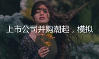 上市公司并购潮起
	，模拟芯片整合加速