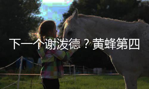 蜂第毕竟手感这个东西