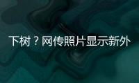下树�？网传照片显示新外援萨拉萨尔身穿亚泰训练服
，抵达训练基地