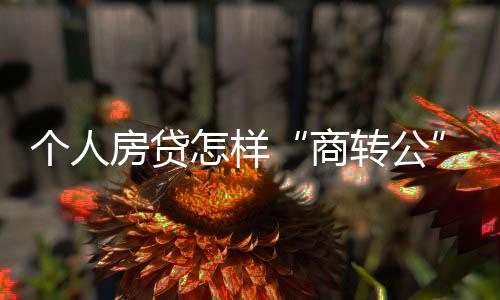 个人不享受最高贷款额度上浮