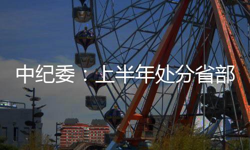 中纪存在问题就处理
