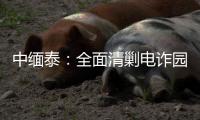 中缅泰
：全面清剿电诈园区	�，全量抓捕涉诈人员
