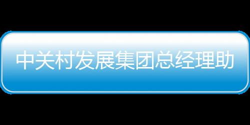 中关村国际控股公司总经理