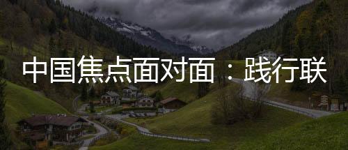 分享了她的中国展目看法