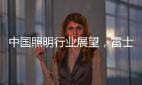 中国照明行业展望，雷士未来大有作为