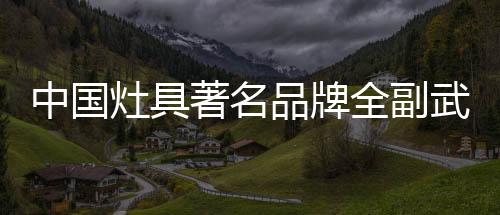 品牌网络渠道营销能力