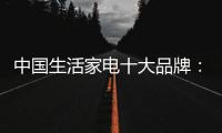 中国生活家电十大品牌	：建立市场优势 应变市场