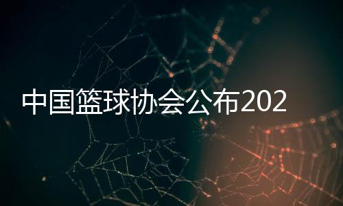 职业联赛和全国性赛事等