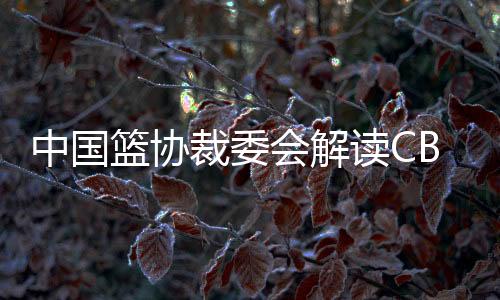 裁判执裁中也存在一些问题