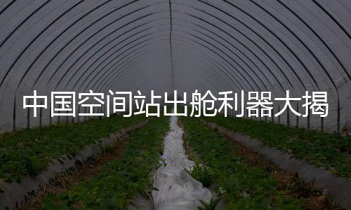 揭秘每个关节对应一个自由度