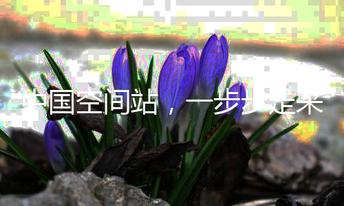 但是空间飞行成本高