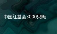 中国红基会3000只赈济家庭箱驰援云南、青海地震灾区