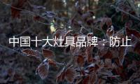 中国十大灶具品牌
：防止雷同 坚持原创设计