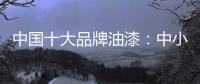 中国十大品牌油漆

：中小油漆企业需正确治理市场乱象