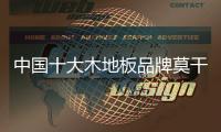快排公司十年历程，霸屏兔 seo 的崛起与坚守