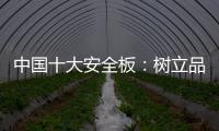 中国十大安全板	
：树立品牌形象 健康发展