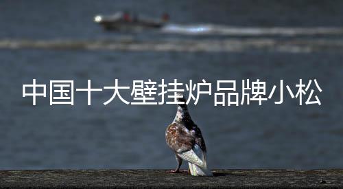 防倒风、中国满足不同需求