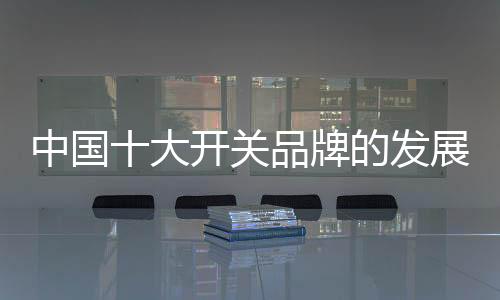 中国制定仍处于不成熟阶段