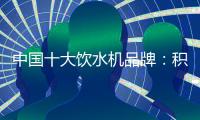 快排公司十年历程，霸屏兔 seo 的崛起与坚守