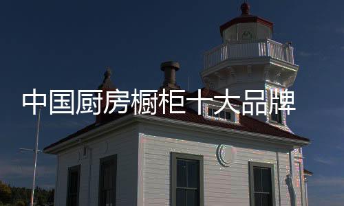 在国内市场处于领导地位