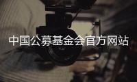 中国公募基金会官方网站观察	：在难开“门”的情况下关上“窗”