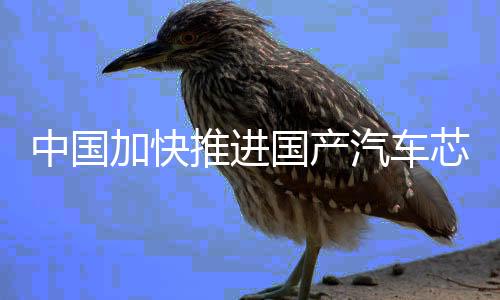 中国质量算力机构等技术能力