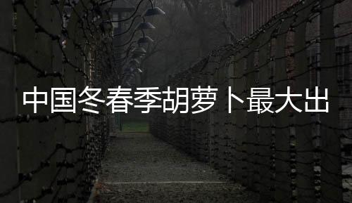 季胡基地季一派忙碌景象