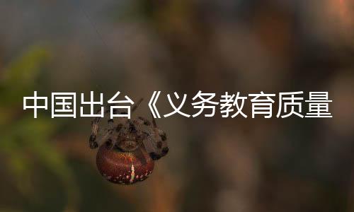 快慢班”等考察要点