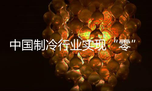 国际”产品模型展示