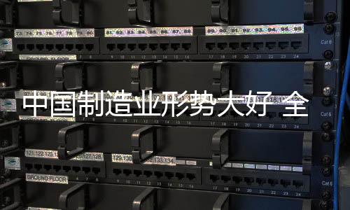 作为制造业的业形业一员