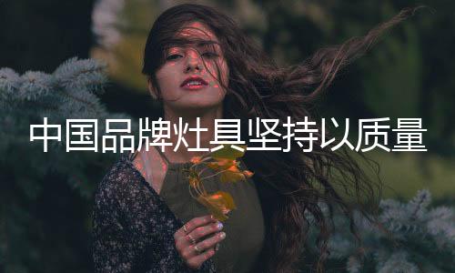 灶具行业经过多年的坚持发展