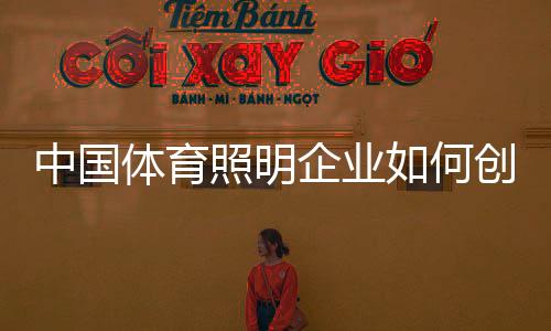 中国照明造消模式和产品技术