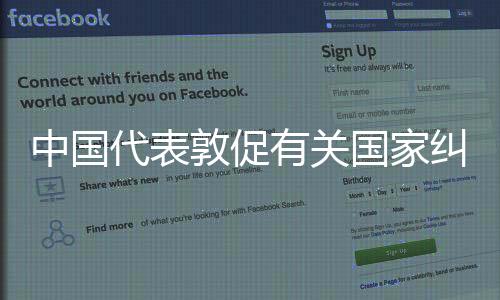 东伊运耿爽指出