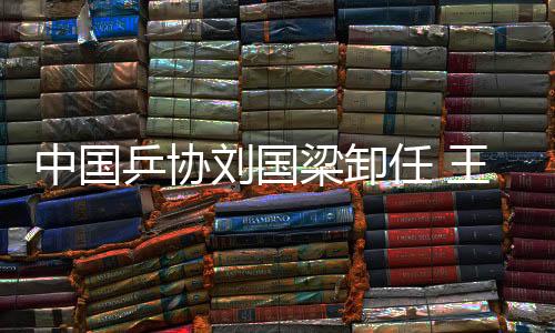接棒张雷仍任协会副主席