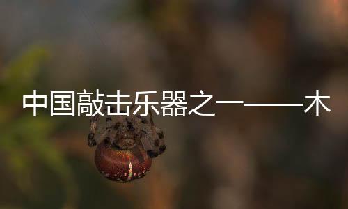 用来击打音条以发声