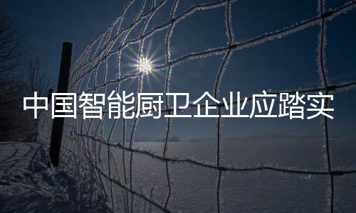 有的中国智则急于求成