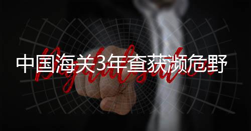 主动参与全球生态环境治理
