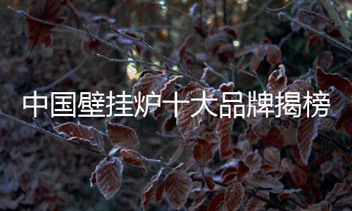 整个供暖市场格局在改变