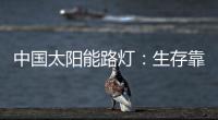中国太阳能路灯
：生存靠个人 发展靠团队