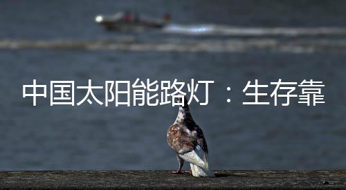 无论是中国多么好的产品
