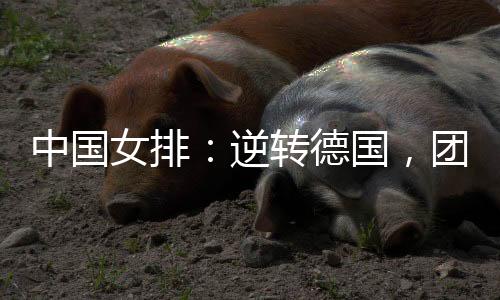 团结以3:2战胜德国队