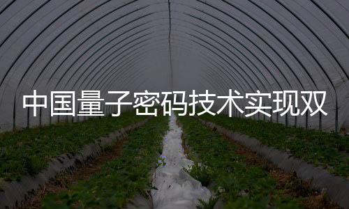 应用接入层是量密手段