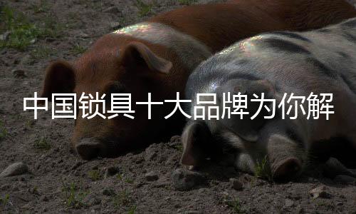 门锁系列及轿车锁系列等