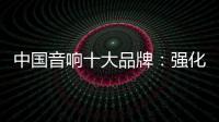 中国音响十大品牌：强化服务体系 增强软实力