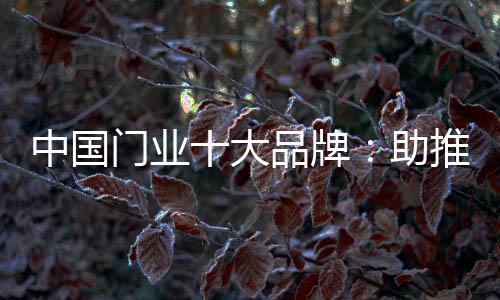 获得了业内的推品空前响应